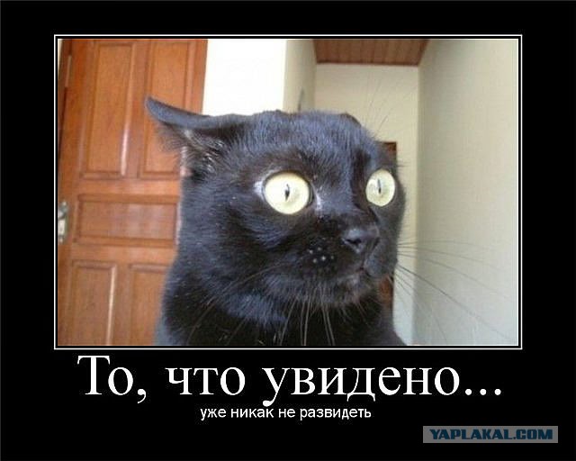 Королевы гламура рвут соцсети.