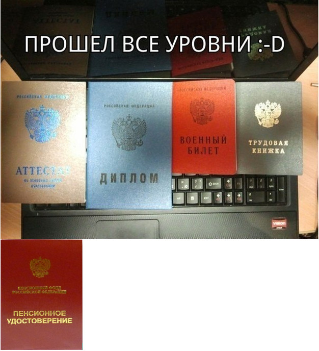 Подборка безудержного веселья