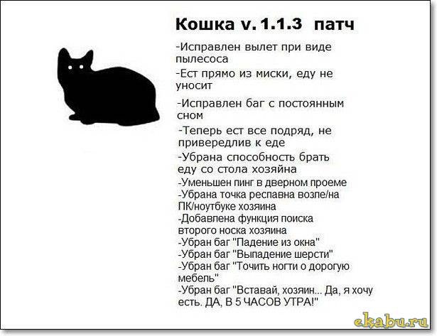 Картинки. Тупые. Очень. 18+ продолжение продолжения.