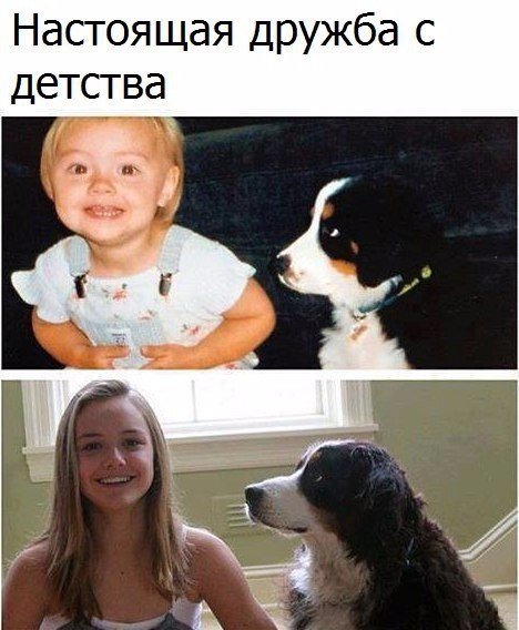 Набористый набор картинок