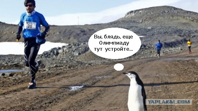 Таинственная Антарктида!