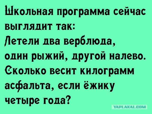 Разные картинки. Солянка.