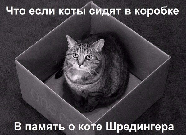 Кошка Шрёдингера.