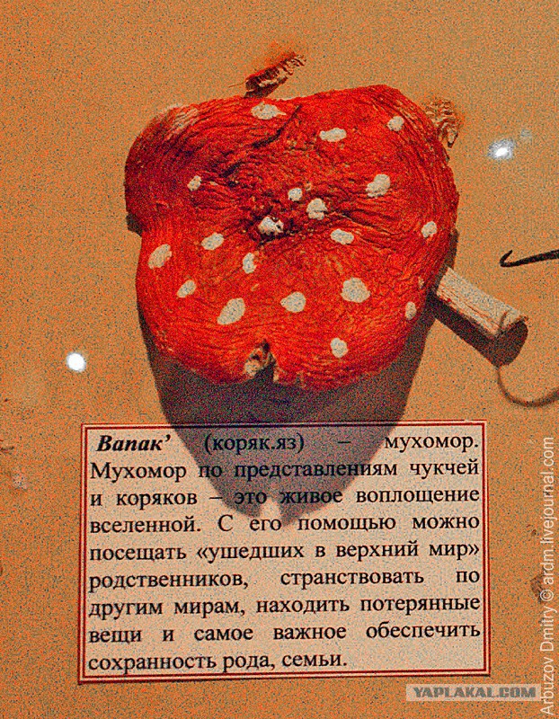 «Забудьте об экономике! То что грядет, будет гораздо больше!.