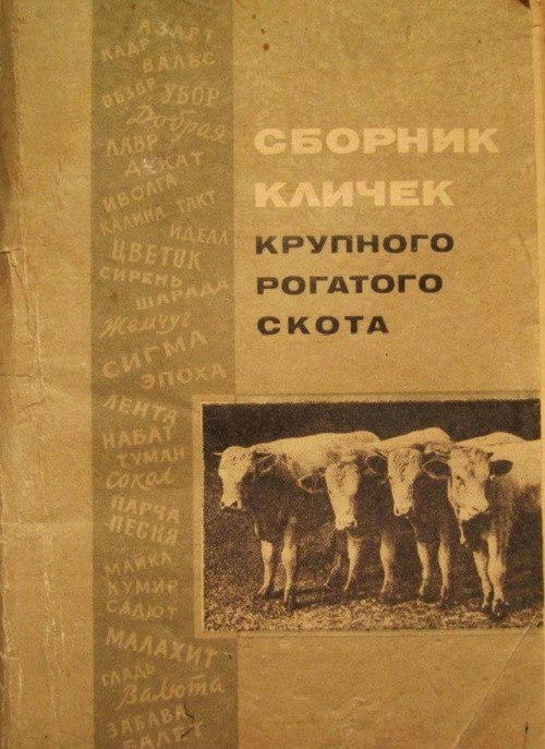 Моменты из прошлого