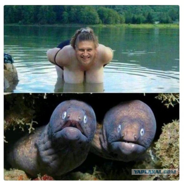 Ох уж эти фотопозы