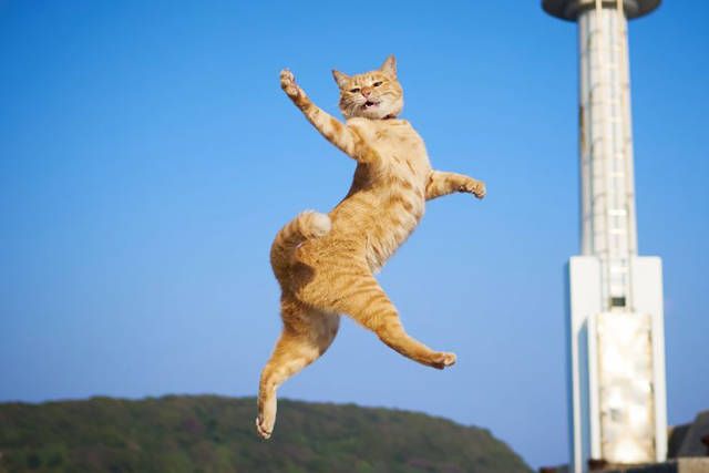 Немного милоты