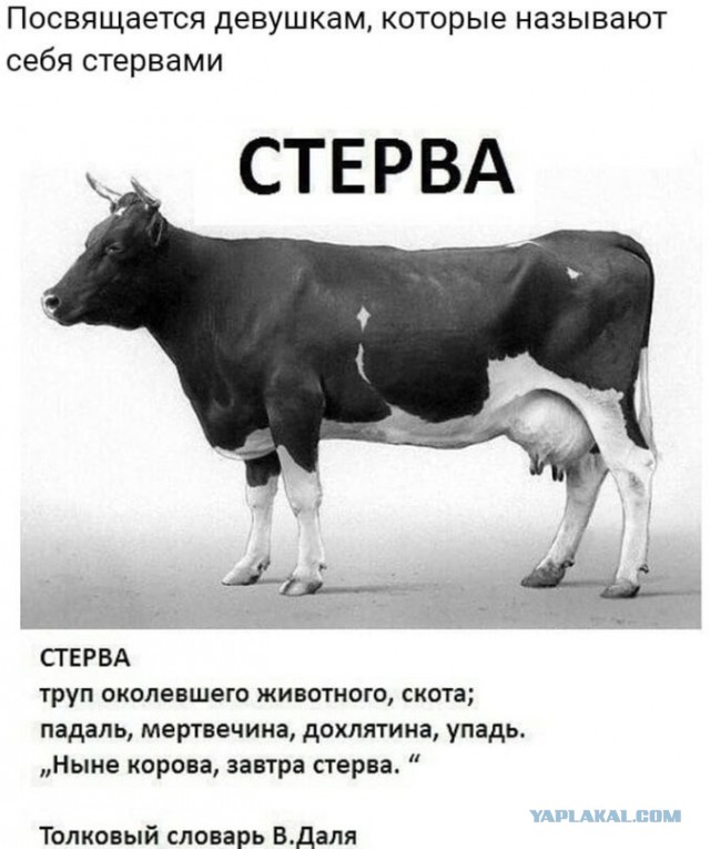 Плохих девочек любят больше: почему мужчины предпочитают стерв