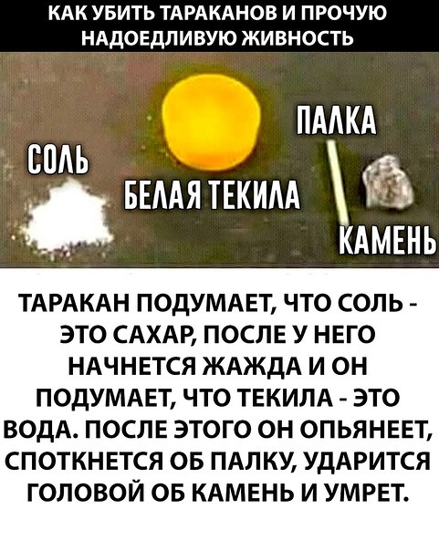 Кто ночью тихо входит в дом?