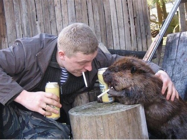 Выловлено в наших сетях