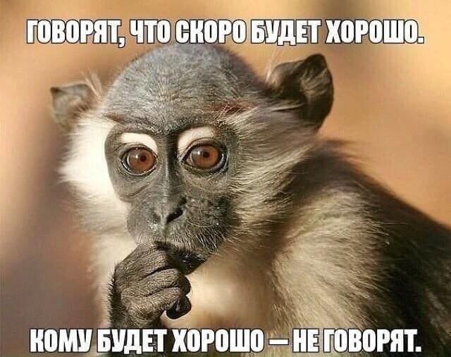 31 первый километр