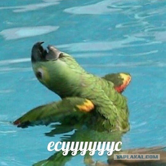 Если ты женат на б**ди!