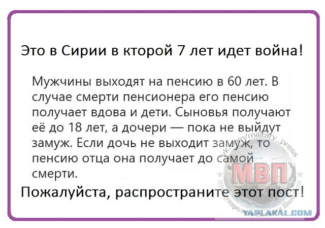 Шнуров в стихах вступился за пенсионеров, названных депутатом "тунеядцами и алкашами"