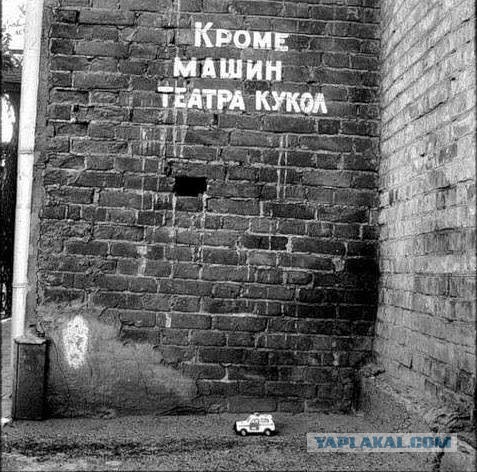 Картинки с надписями, истории и анекдоты