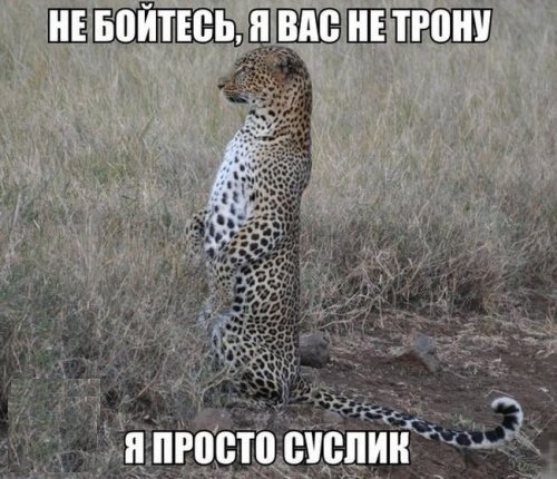 5 ошибок, которые совершает жена, прежде чем стать бывшей