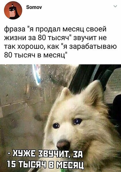 Картинки с надписями, истории и анекдоты 15.10.19