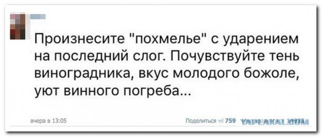 Похмелье возможно повернуть назад