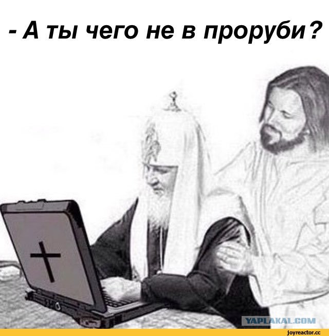 Морозоустойчивый поп