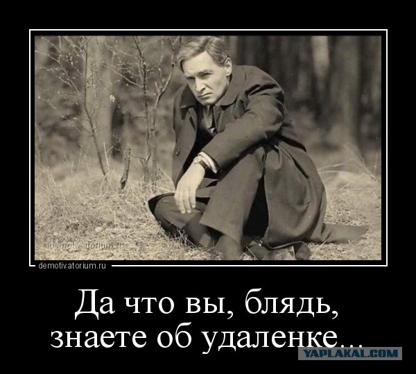 Немного картинок для настроения 17.04.20