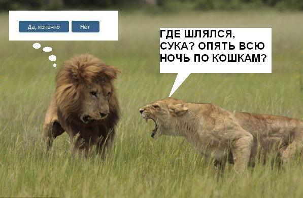 Хотели бы вы?..