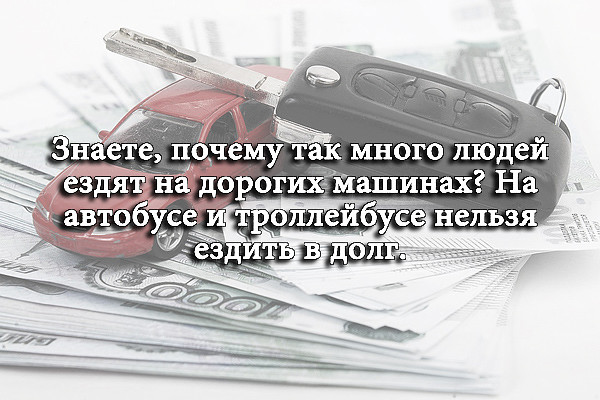 Фотки и картинки: юморные и красивые, забавные и милые 19.09.20