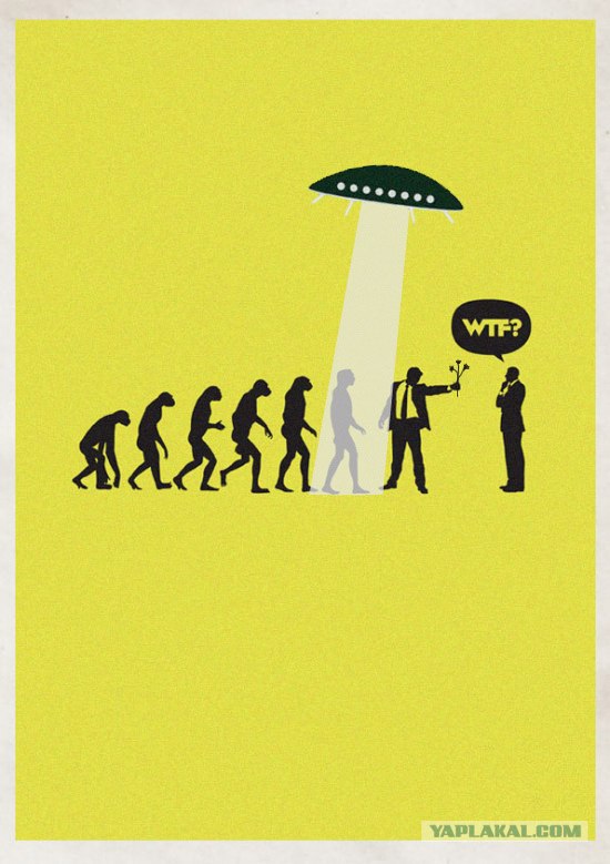 Фотожаба: WTF?