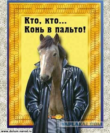 ЯПлакалъ, как вы ругаетесь?