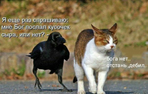 Всем бы такие стальные нервы. Саратовская область