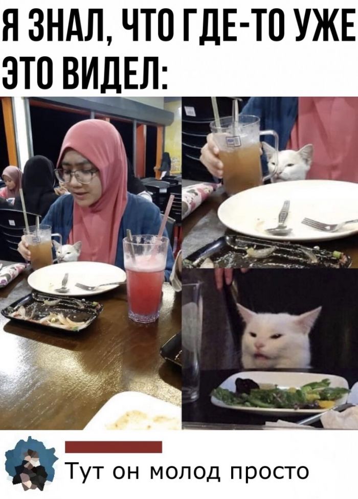 15138283.jpg