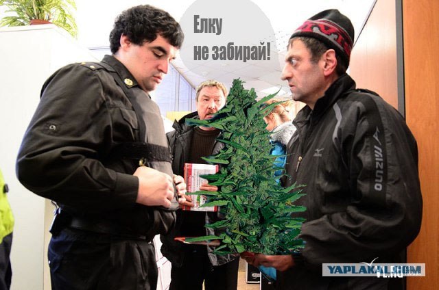 Фотожаба: Приставы и страховщики.