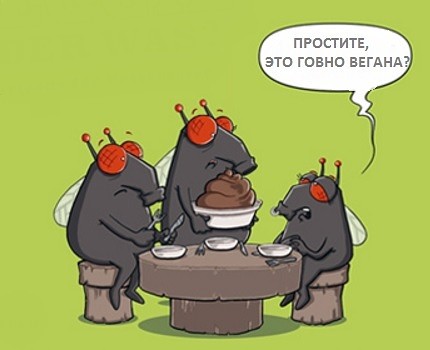 Прикольные и просто красивые картинки 09.02.2021