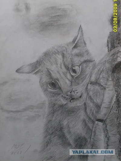 Рисуем кота