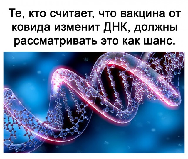 Скотсети и прочие интернеты 19.03.2021