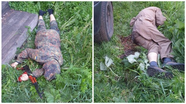Золотов рассказал, какой стаж понадобится для покупки карабина "как у Галявиева"
