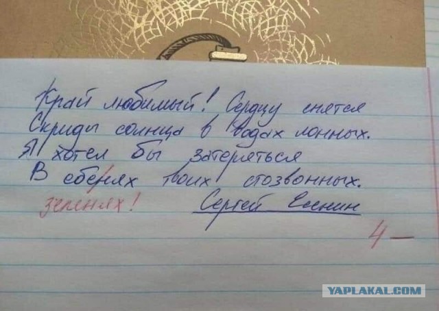 Немного картинок разной степени новизны и адекватности - 6