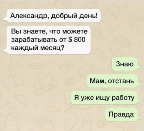 Весёлый полтишок 20.07