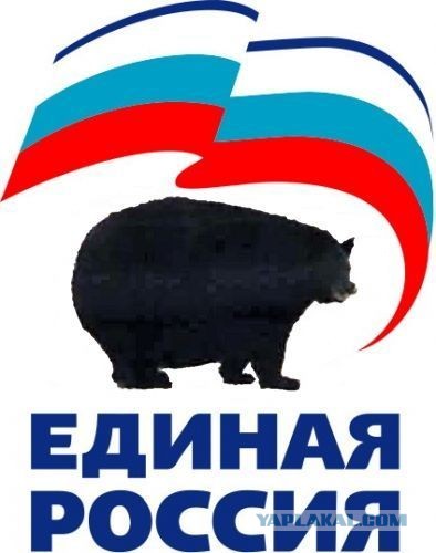 Вышки 5G и совращение несовершеннолетних: абсурдные выходки кандидатов от КПРФ