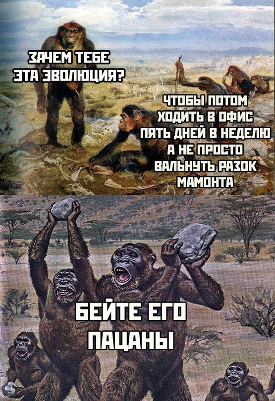 Весёлый полтишок 02.11