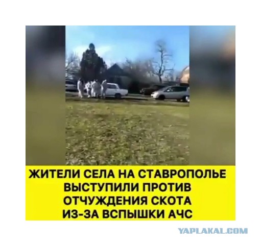 Зомби-апокалипсис 2022