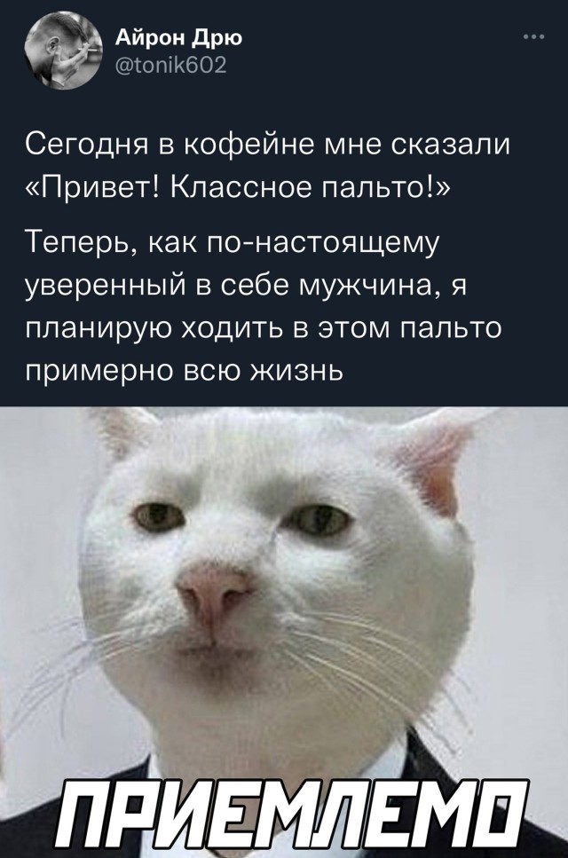 Картинки и мемы для настроения 01.12.2021