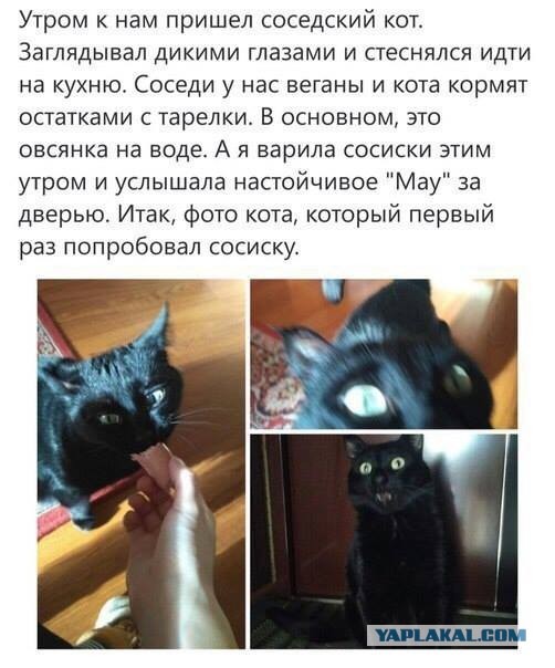 Четверг, а значит пора начинать деградировать...