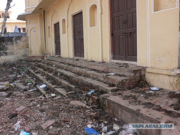 Путешествие по Индии