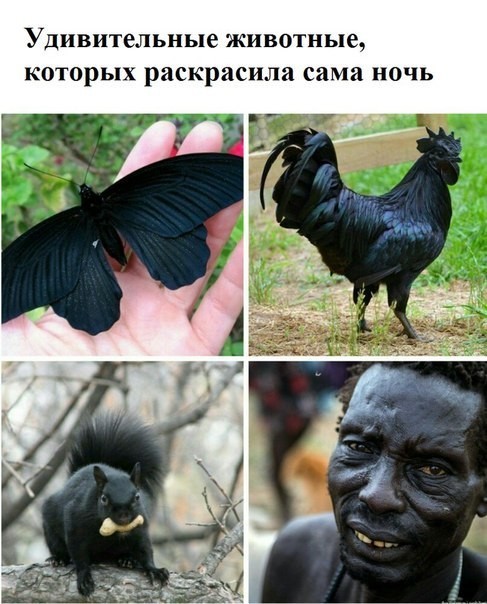Немного картинок