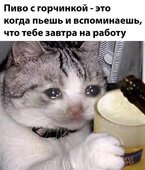Алкопост 2.5.22