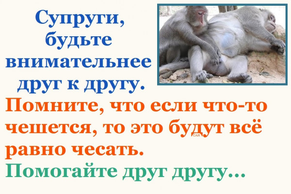 Пятница. И немного слегка пошлых картинок с надписями и без 16+ (10.06)
