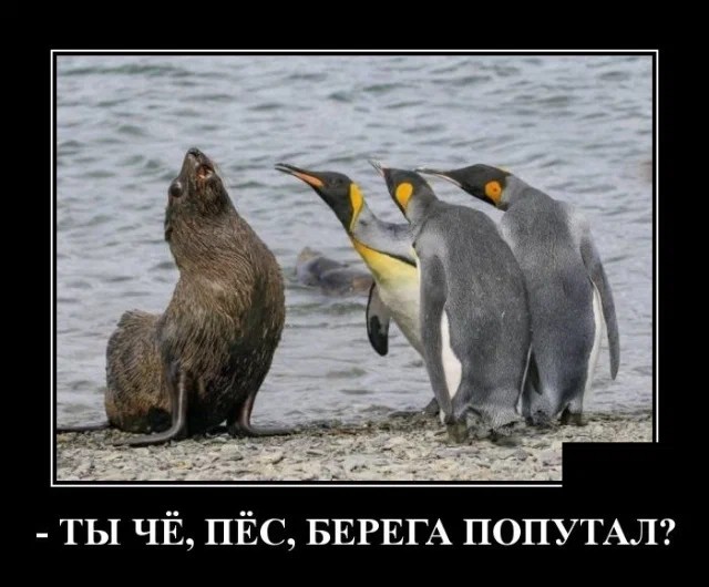 Картинки с надписями 21.07.22