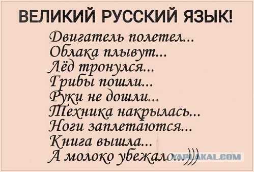Немного фото для настроения 7.08.22