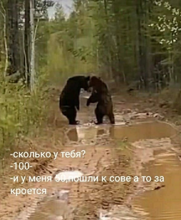 Юмор в картинках и без