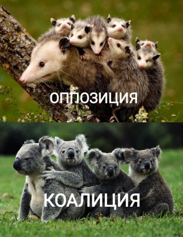 Народная меДИЧина 3017