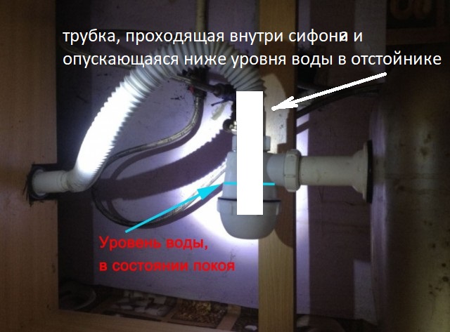 Прямоток